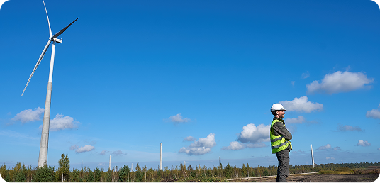 Riebiņi wind farm