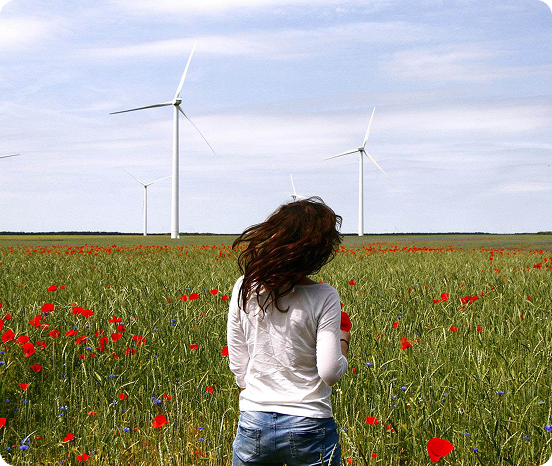 Wind farms benefit only developers, society gains nothing