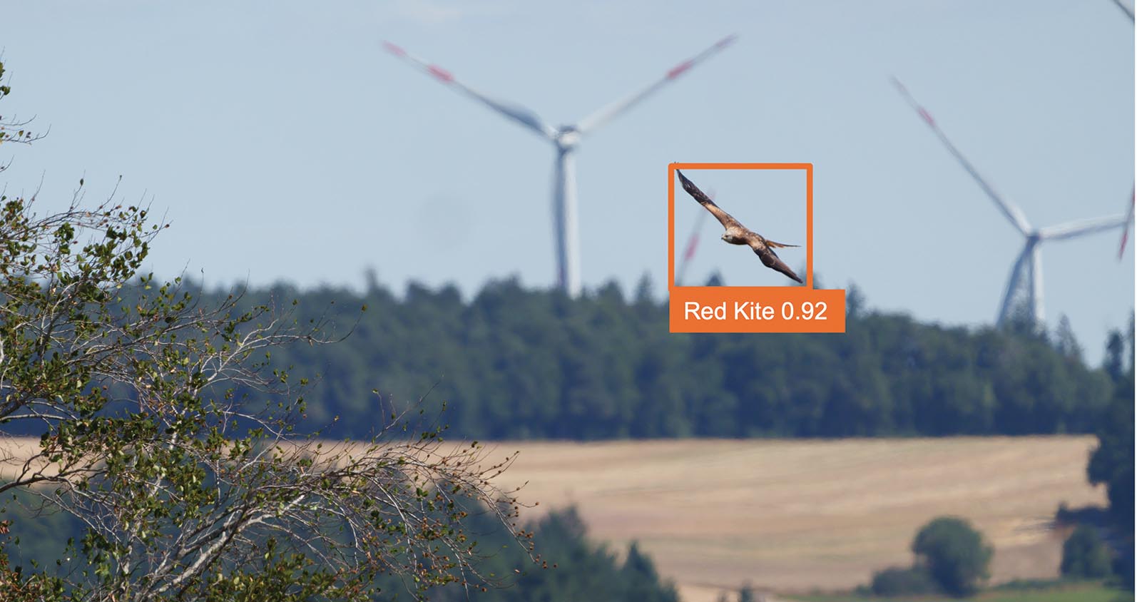 Pētniecības projekta īstenošana 10.2025. - 03.2026.