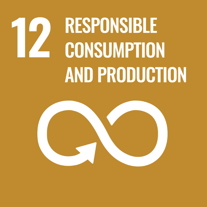 SDG 12 – Responsible consumption and production