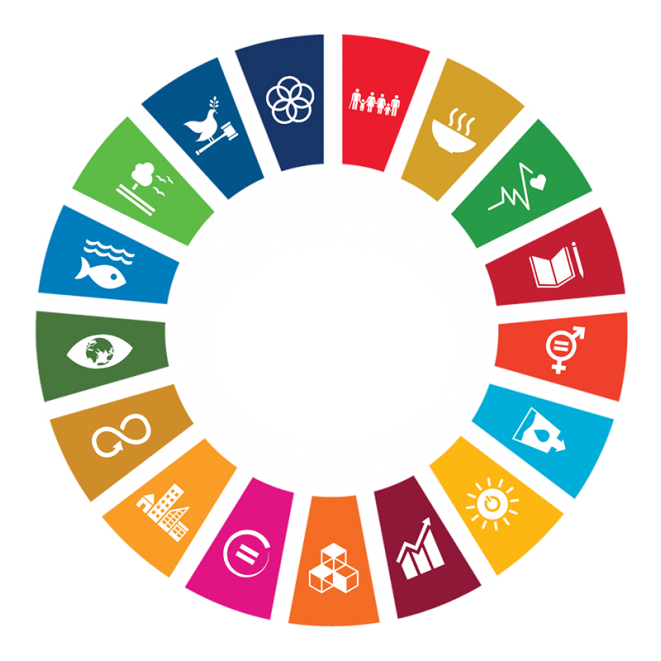 UN Sustainable Development Goals wheel